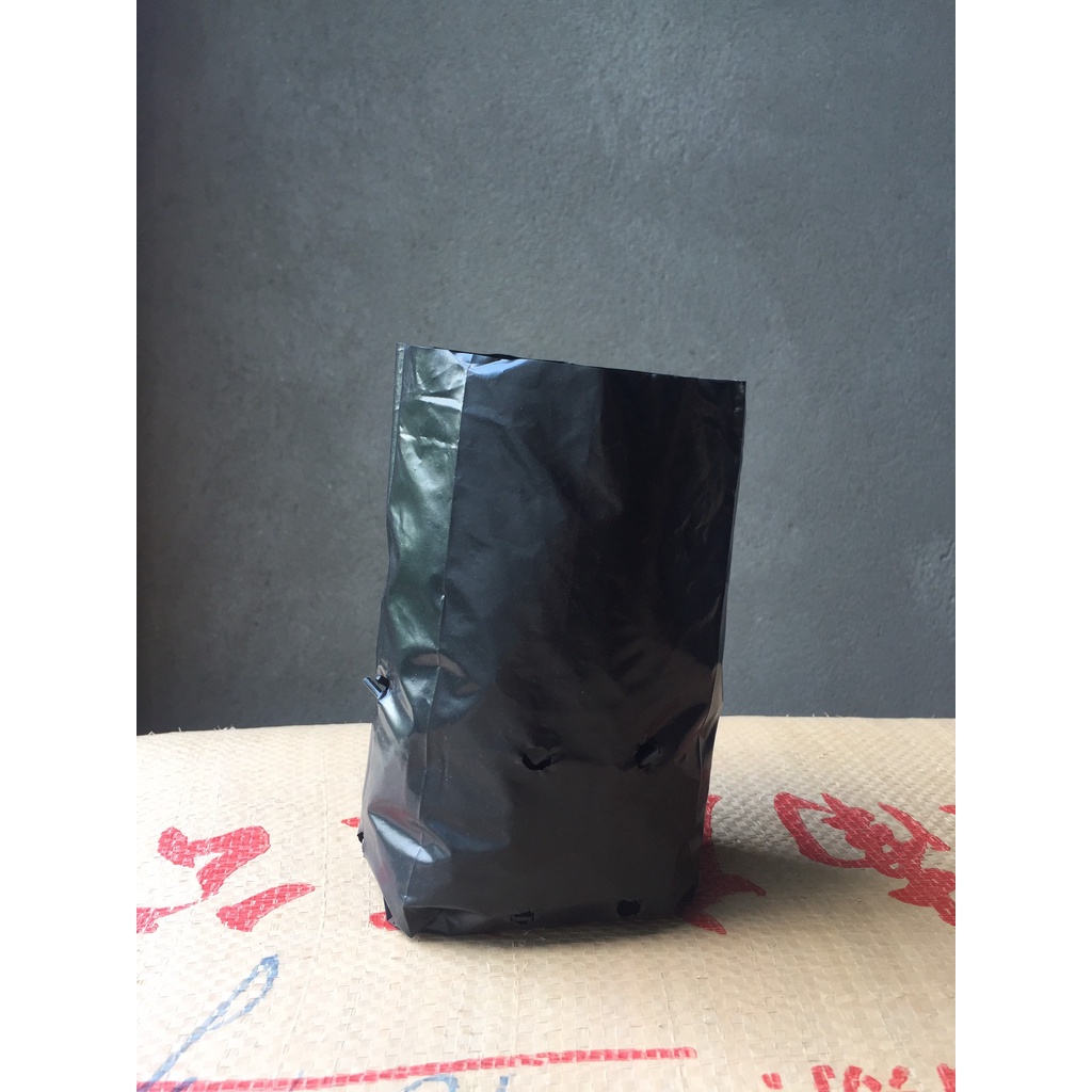 1KG TÚI ƯƠM CÂY MÃ 14*19 ( KÍCH RỄ, MẦM CÂY XANH LÁ, DỊCH TRUYỀN CHO CÂY, BẠT CỎ...)