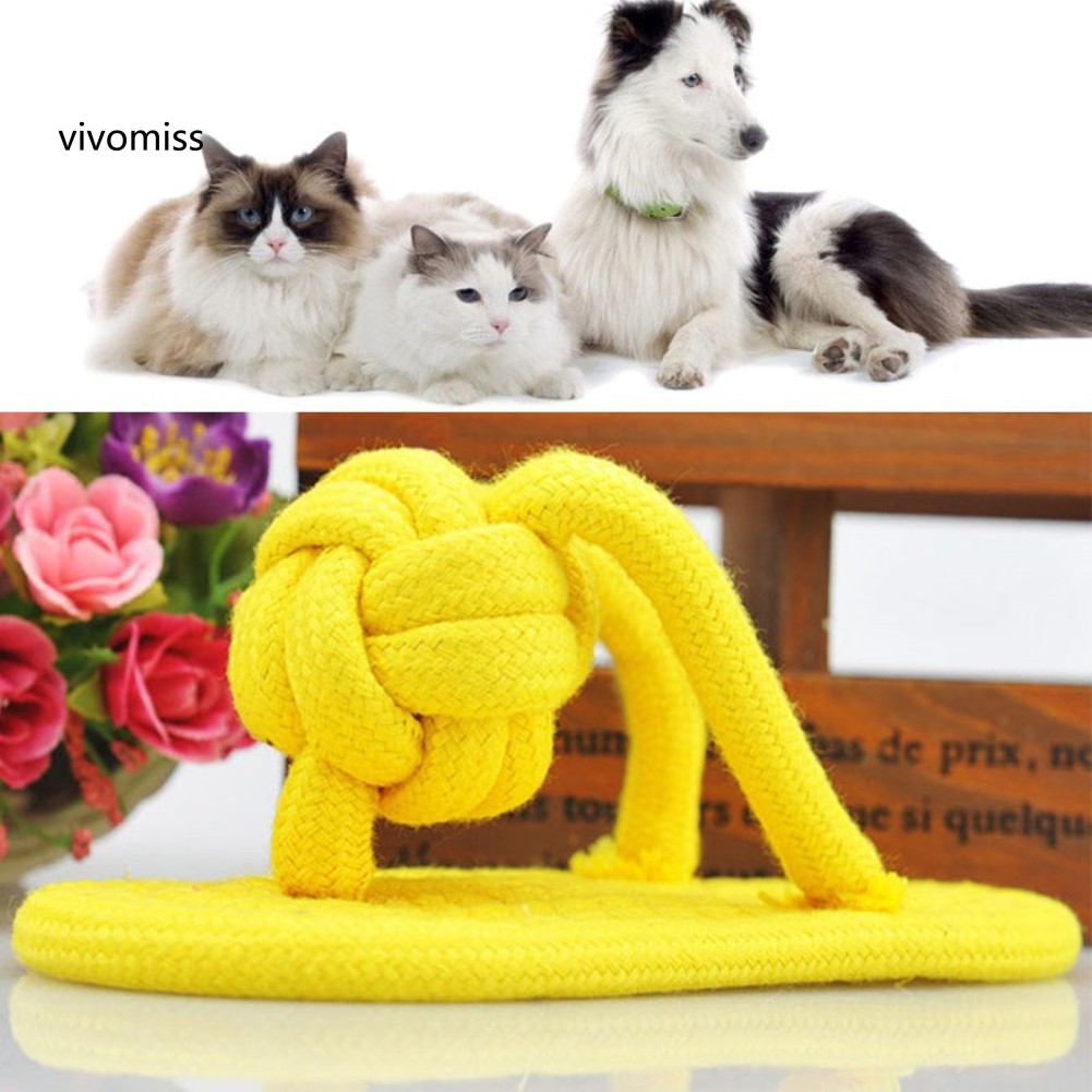 Đồ Chơi Gặm Hình Dép Kẹp Cho Thú Cưng