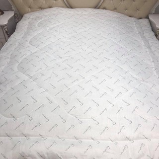  [ GIÁ TẠI XƯỞNG ] Ruột Gối - Ruột chăn chữ eveton siêu nhẹ bông trắng tinh khiết