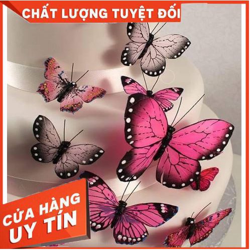 [RẺ VÔ ĐỊCH] Set 10 Bướm trang trí bánh kem, bánh sinh nhật nhiều màu sắc giá cực ưu đãi, để bạn thỏa sức sáng tạo.