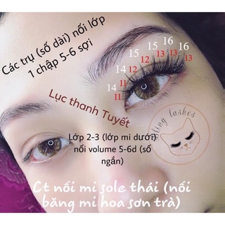 Mi hoa hồng đen (hoa sơn trà)
