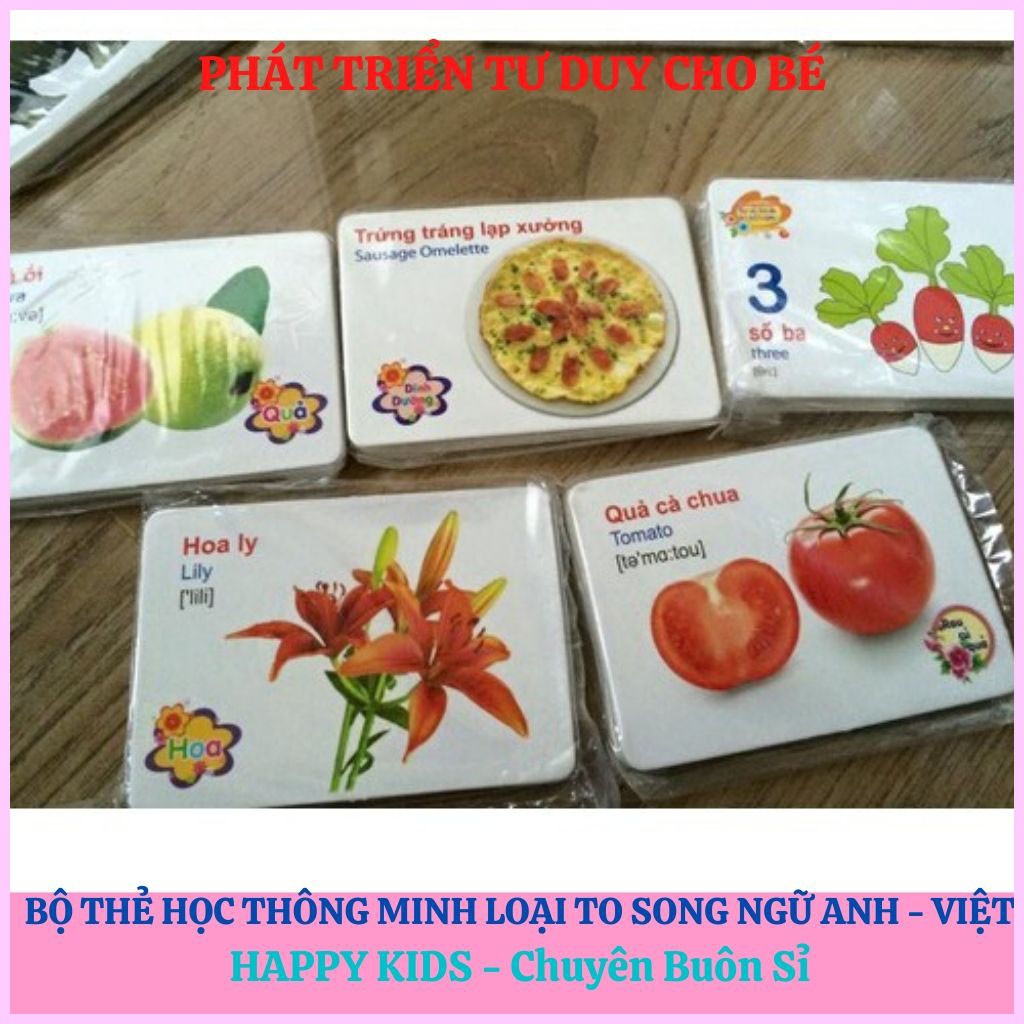 Bộ thẻ học thông minh 12 chủ đề loại to - kèm bộ chữ cái và số