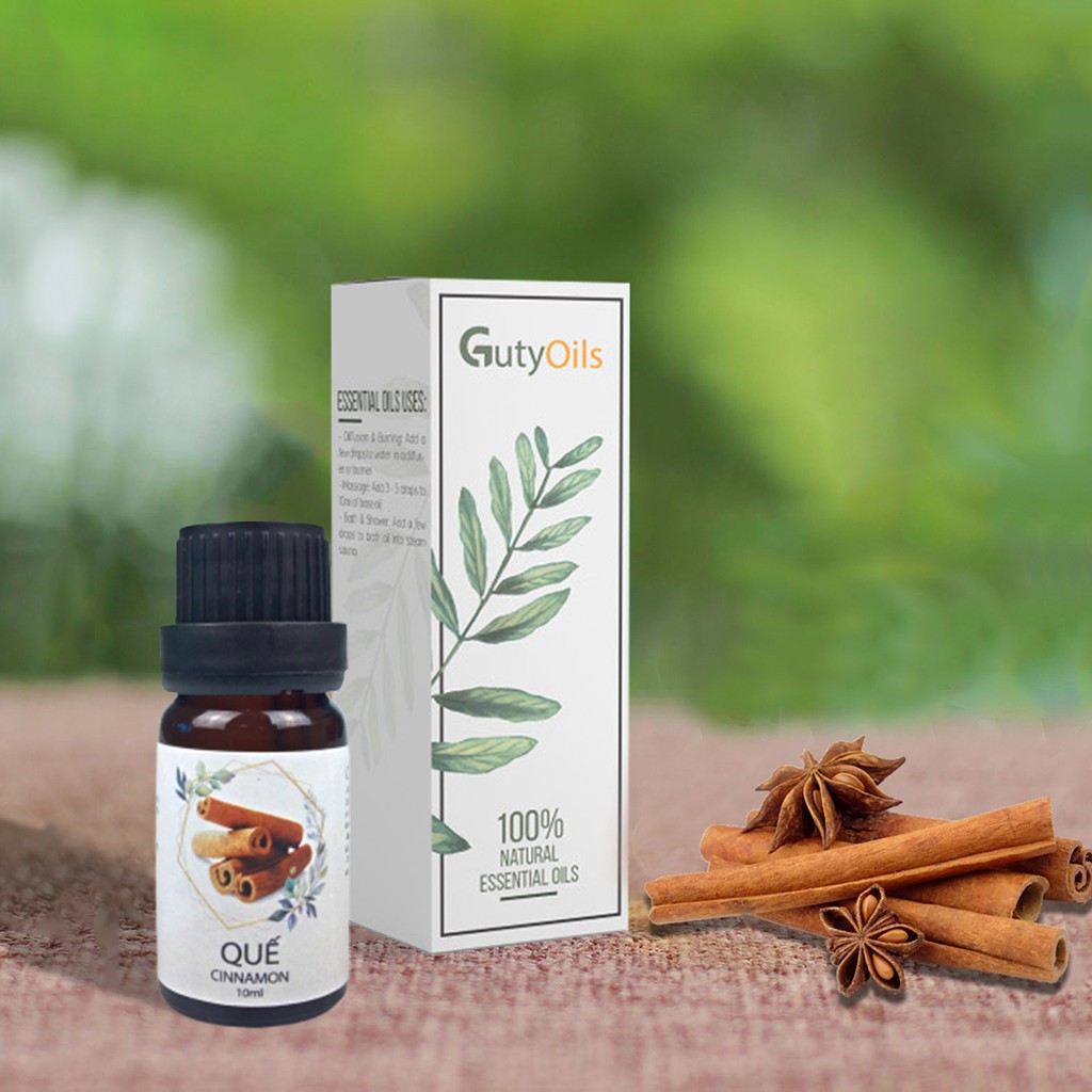 Lọ 10ml tinh dầu quế nguyên chất Guty Oils đuổi muỗi, đuổi kiến và côn trùng hiệu quả, giúp làm ấm cơ thể, giảm mỡ bụng