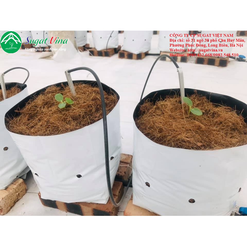 Túi bầu trồng cây PE 2 lớp cao cấp - SUGAT VINA ( bán lẻ )