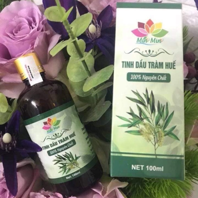 Tinh dầu tràm huế