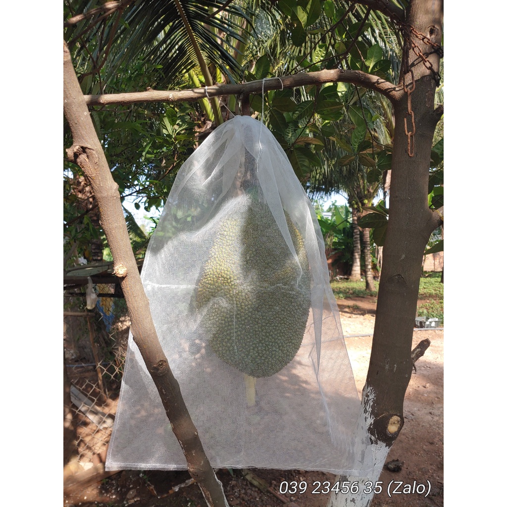 100 Túi Lưới Tốt Bao Bọc Mít Thái Kích Thước 50*70cm - Túi Bọc Trái Cây