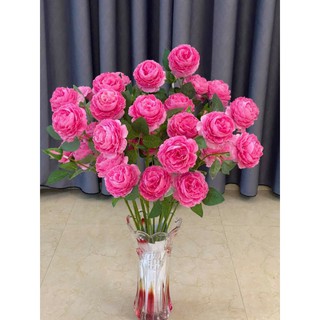 cành trà mao 2 bông 1 nụ