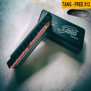 Kèn harmonica 10 lỗ đủ 12 Tones Swan SW1020 C/Db/D/Eb/E/F/Gb/G/Ab/A/Bb/B (Bạc)