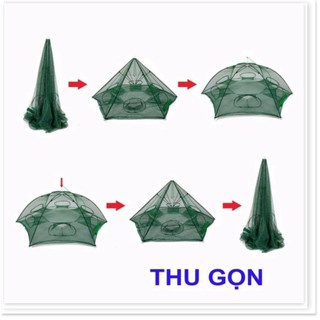 Lưới bát quái chuyên đánh bắt cá (8 lỗ)