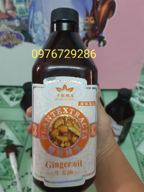 Tinh dầu masa body cao cấp trong Spa &TMV | BigBuy360 - bigbuy360.vn