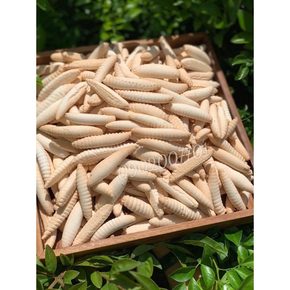 Bánh đuông thơm ngon béo ngậy - bánh con sâu sữa - con đuông dừa sữa thơm béo 100g/200g/500g