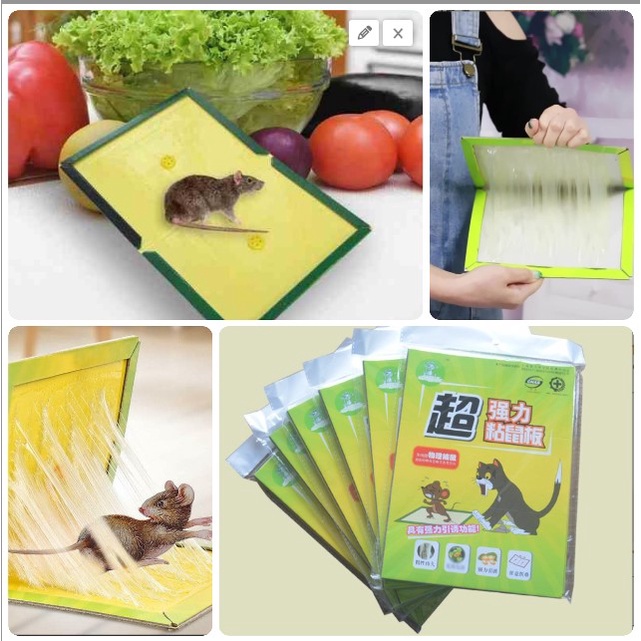 Keo dính chuột siêu dính, bẫy dính chuột thông minh hiệu quả tiện ích