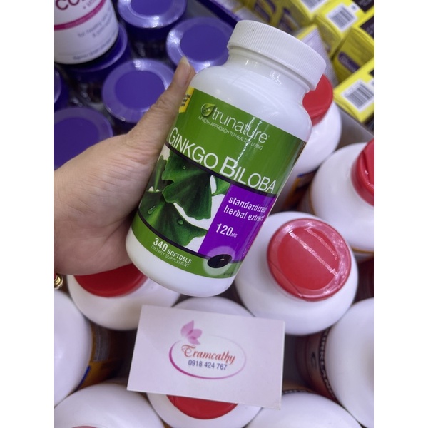 Viên ginkgo hỗ trợ trí nhớ 340v mẫu mới