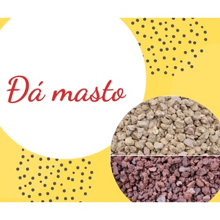 Đá masto - Siêu phẩm cho sen đá và xương rồng