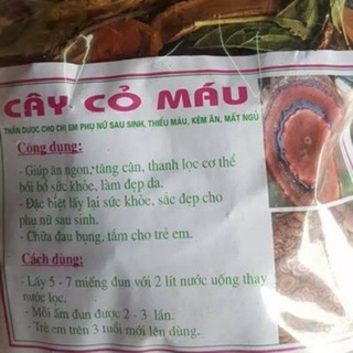 [FREESHIP 99K TOÀN QUỐC CÂY CỎ MÁU Tự nhiên