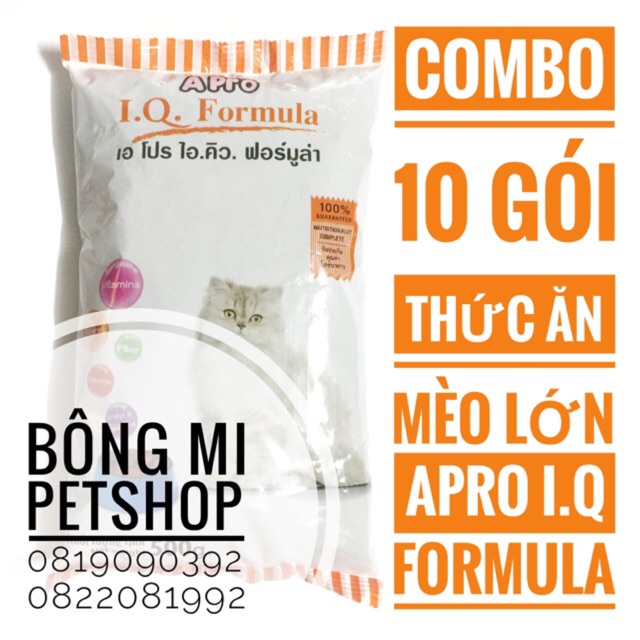 Combo 10 gói Apro I.Q. Formula (Tổng 5,0kg) - Thức ăn hạt khô cho mèo trưởng thành