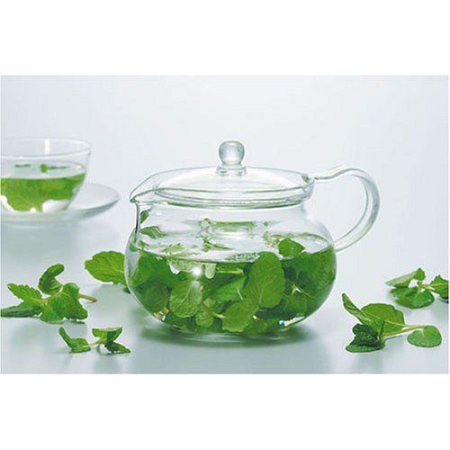 Bình trà Hario Chacha CHJMN-45T 450ml