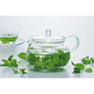 Bình trà Hario Chacha CHJMN-45T 450ml