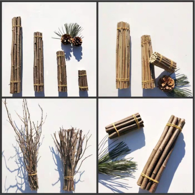 Cây Khô Trang Trí Handmade Set 10 Khúc