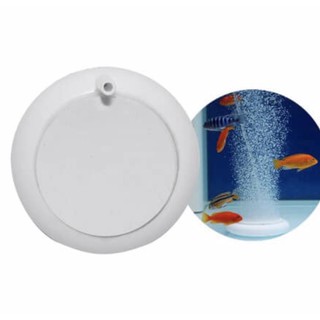 Sủi Oxy Đĩa Siêu Mịn T50