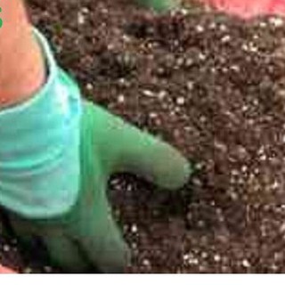 1 bao Mụn xơ dừa trộn đất trồng cây, cải tạo đất nhập khẩu-  chuyên dụng.