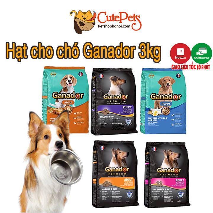 Thức ăn cho chó Ganador 3Kg Hạt cho chó giá rẻ - CutePets