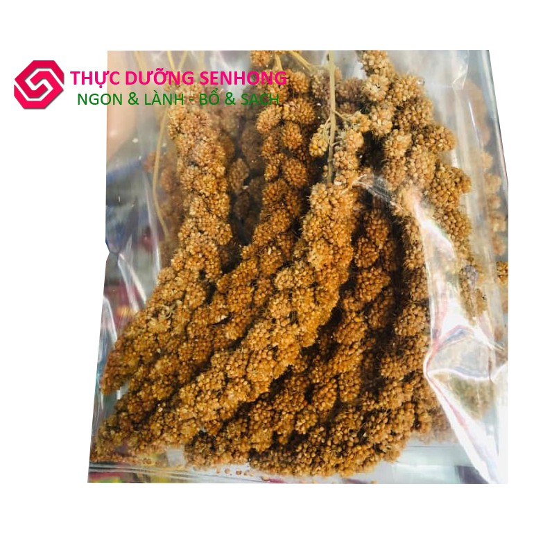 Hạt kê nếp Nghệ An (500gr) giống thuần chủng non-GMO | BigBuy360 - bigbuy360.vn