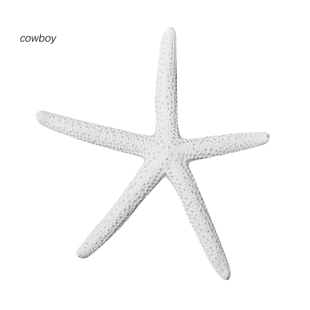 Sao Biển Nhân Tạo Bằng Nhựa Thân Thiện Với Môi Trường Dùng Trang Trí DIY