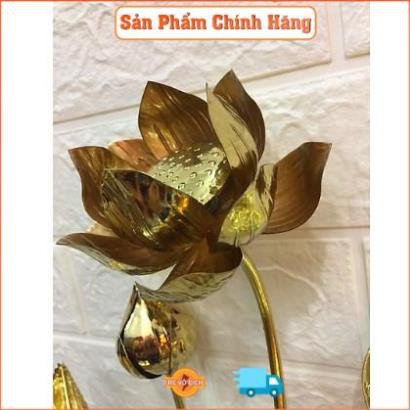 Hoa sen đồng thờ. Size to. Đồ thờ cúng bằng đồng