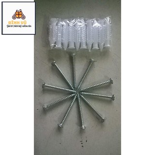 Set 10 vít chìm kèm nở nhựa