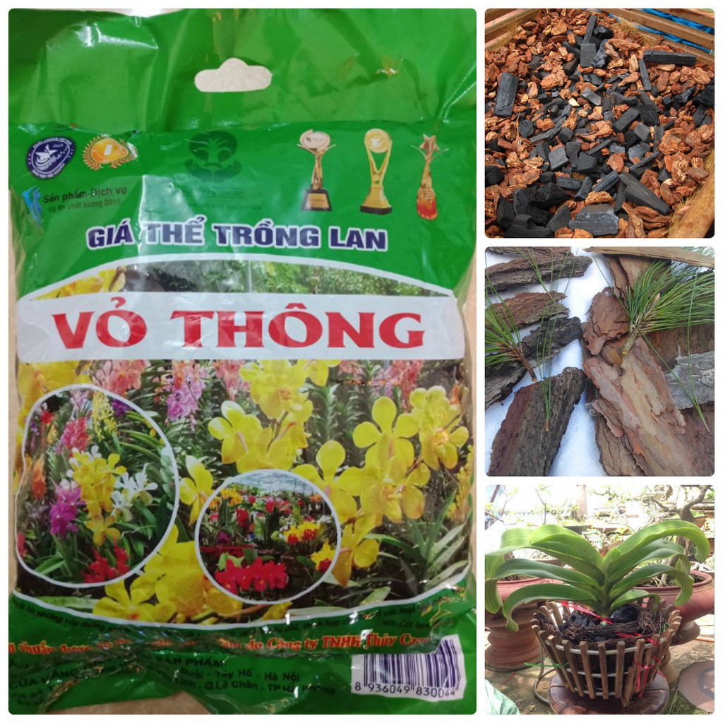 Bán buôn COMBO 2 gói giá thể trồng lan vỏ thông bao đẹp