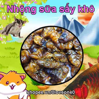 20g Nhộng Sâu Sữa Sấy Khô Cho Hamster-Chim-Cá Cảnh