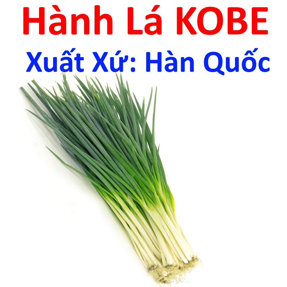 Hành Lá KOBE (2g), Hạt Giống Hành Lá Xuất Xứ Hàn Quốc