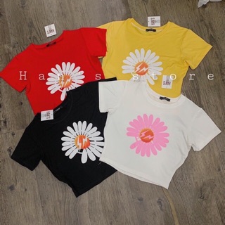Áo croptop in hoa cúc