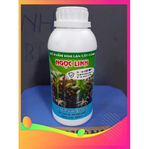 Chế phẩm kích rễ Ngọc Linh chai 500ml