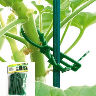Set 50/100 Dây Nhựa Buộc Cố Định Cây Trồng Tiện Dụng