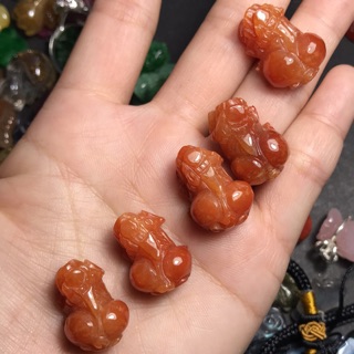 Tỳ hưu đỏ huyết mặt dây
