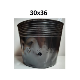 Set 1kg bịch bầu ươm cây các cỡ