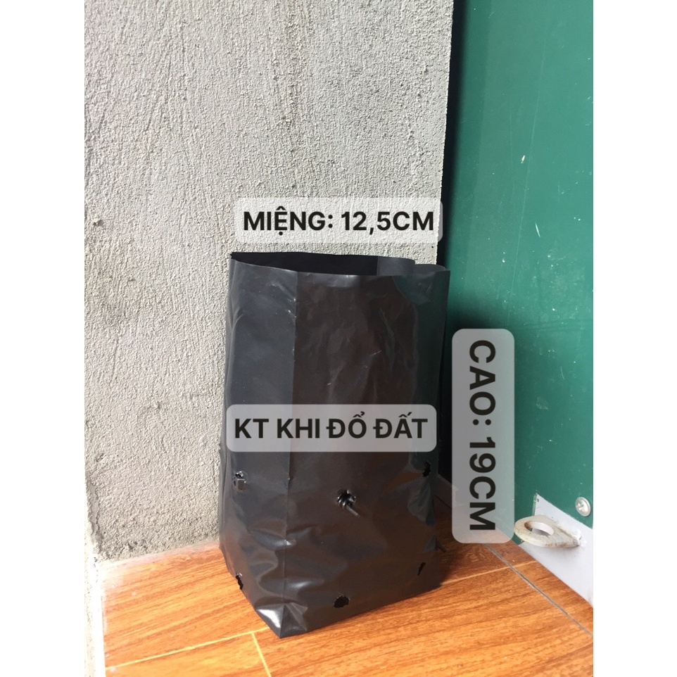 1KG TÚI ƯƠM CÂY MÃ 10*25 ( KÍCH RỄ, MẦM CÂY XANH LÁ, DỊCH TRUYỀN CHO CÂY, BẠT CỎ...)