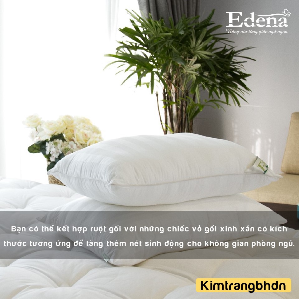 Ruột gối nằm tơ tằm Edena - CHÍNH HÃNG, MỀM MẠI