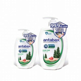 Nước rửa tay kháng khuẩn Antabax 250ml