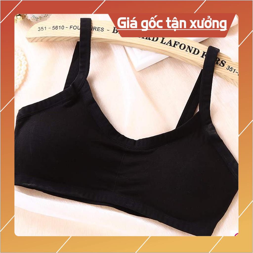 Áo bra Cotton 3 dây XINH XẮN Mút mỏng MÁT ❣️❣️❣️ Áo Bra học sinh, sinh viên BIKY