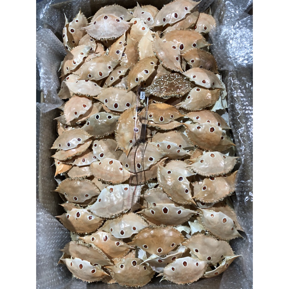 Vỏ ghẹ khô 10 cai