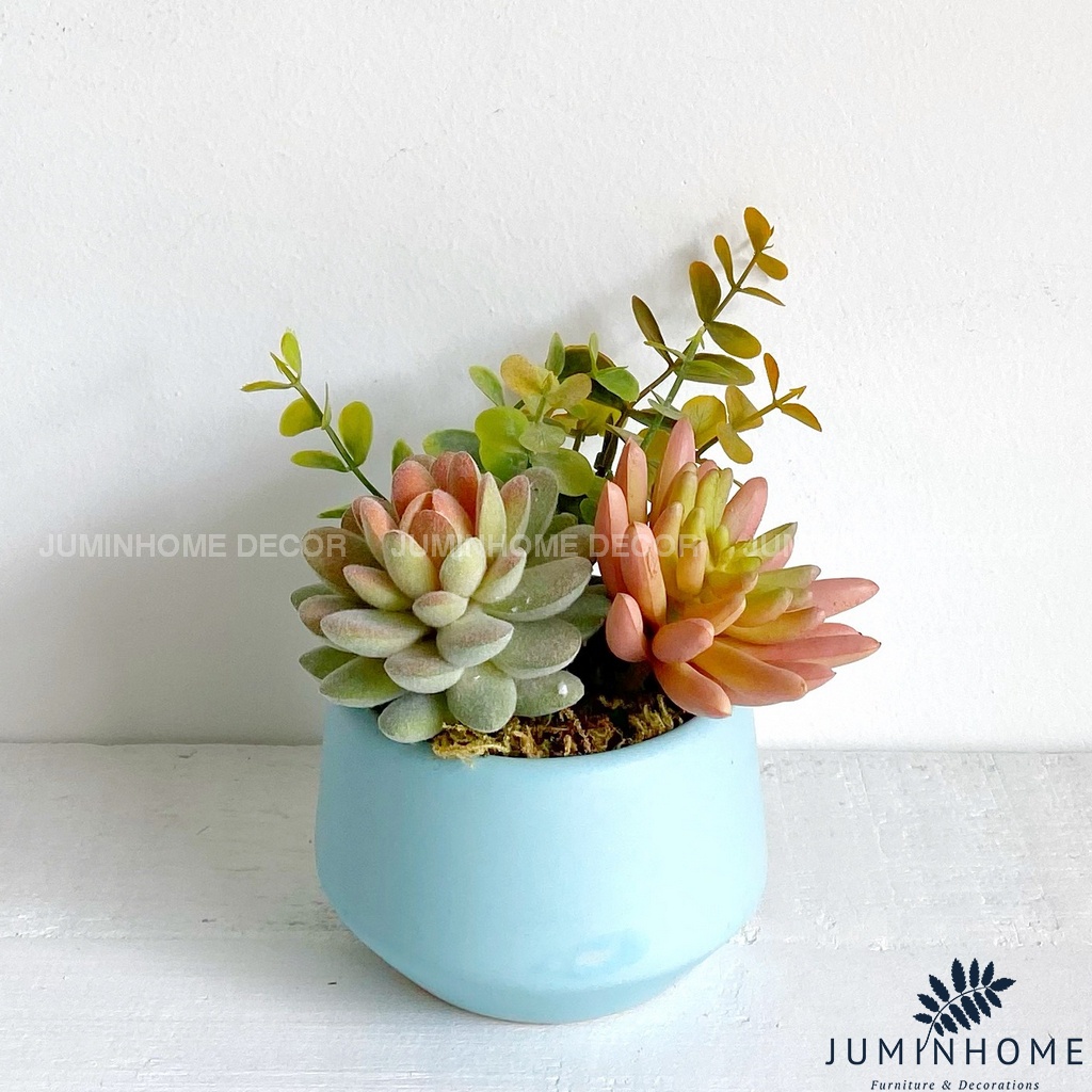 Cây giả Decor - Chậu sen đá mini Decor trang trí để bàn