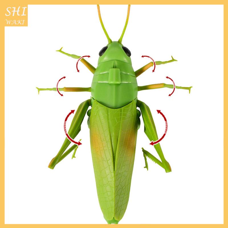 Đồ Chơi Mô Hình Côn Trùng Máy Bay Điều Khiển Từ Xa Mẫu Mới Lạ Làm Quà Tặng Cho