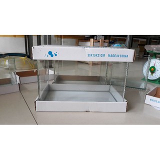 Bể đúc mặt bo cong 30 x 19 x 21 cm