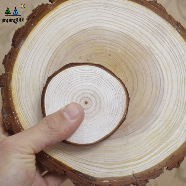 Miếng lót ly bằng gỗ tự nhiên dùng để trang trí quán cà phê/ trà
