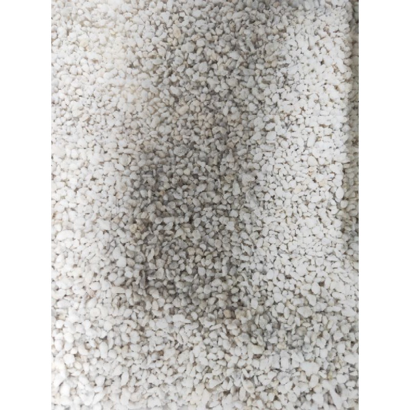 Đá Perlite (10 lít)