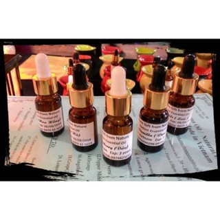 [GIÁ SỈ] Combo tinh dầu chai to 100ml