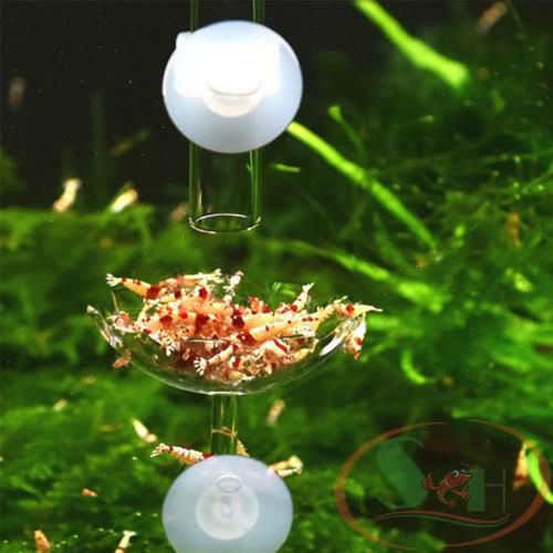 Chén Acrylic Hít Thành Hồ Đựng Thức Ăn